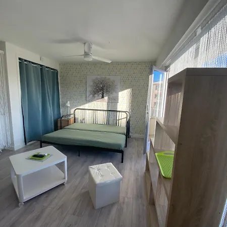 Amicie, Près Centre, Balcon, Linge Et Ménage Appartement *